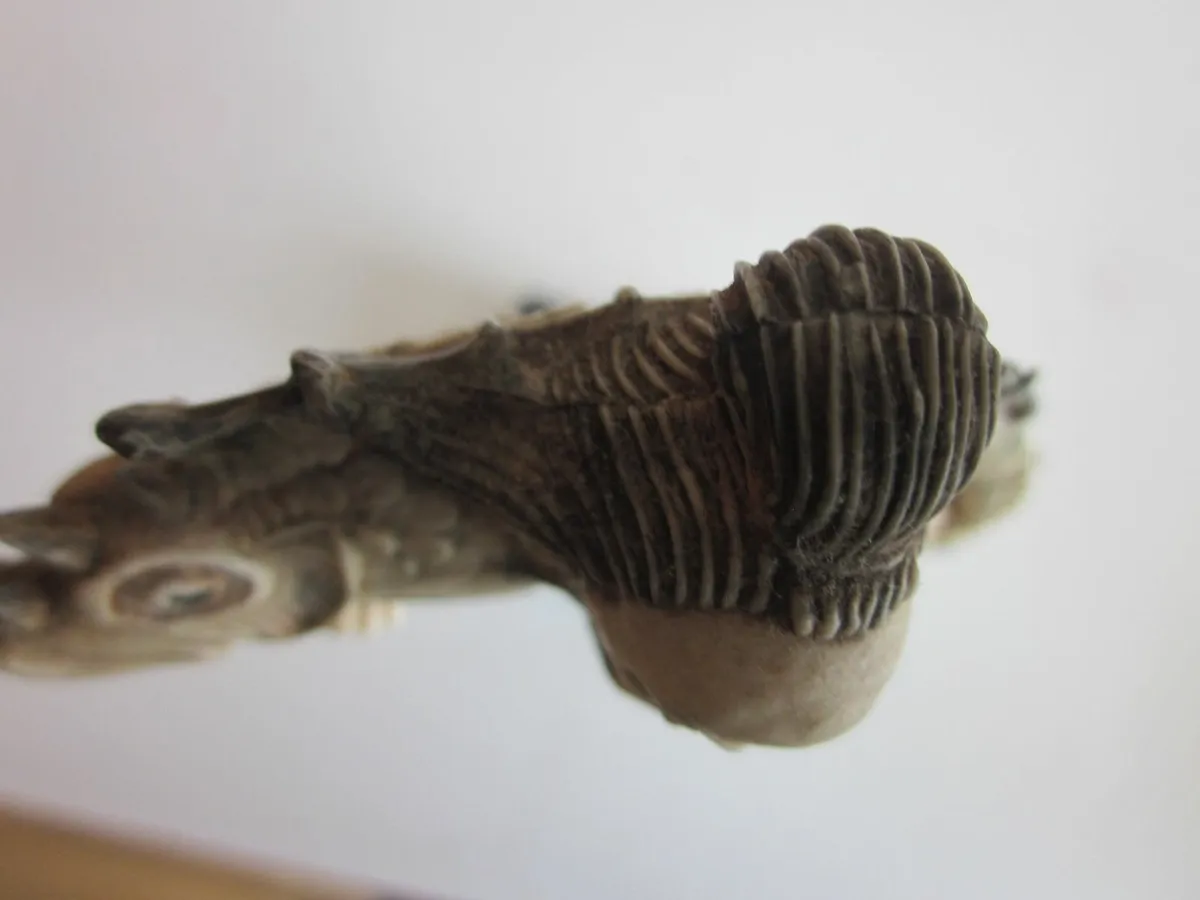 Chinese Fisherman/Sea Serpent Resin Figure - Image 3