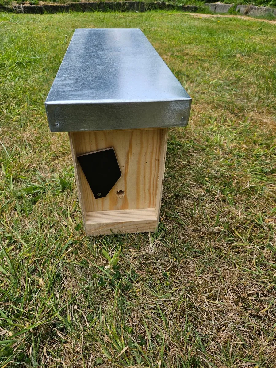 3 Framed  Bee Nucs - Image 3