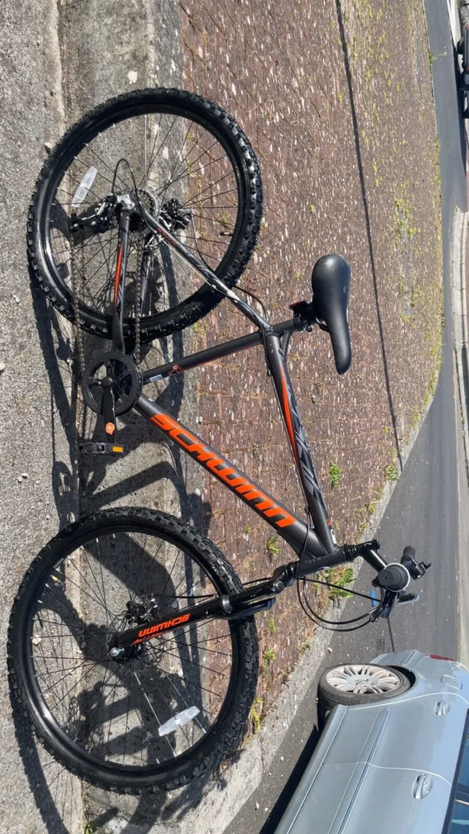 Bike - Image 2