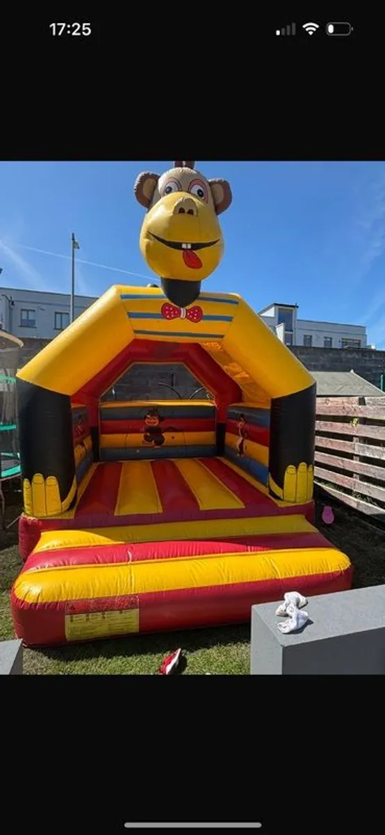 Bouncy Castle - Image 1
