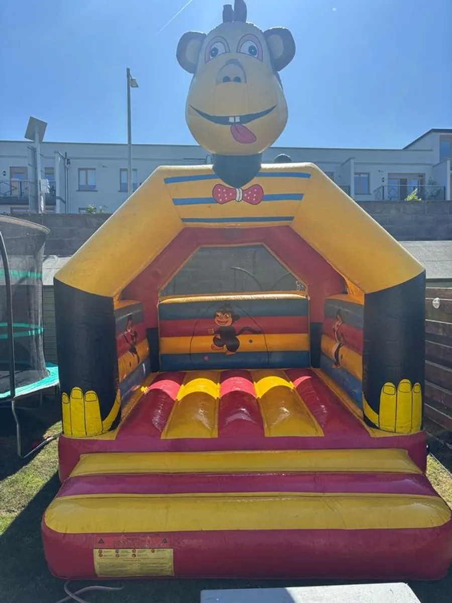 Bouncy Castle - Image 2