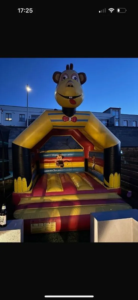 Bouncy Castle - Image 4