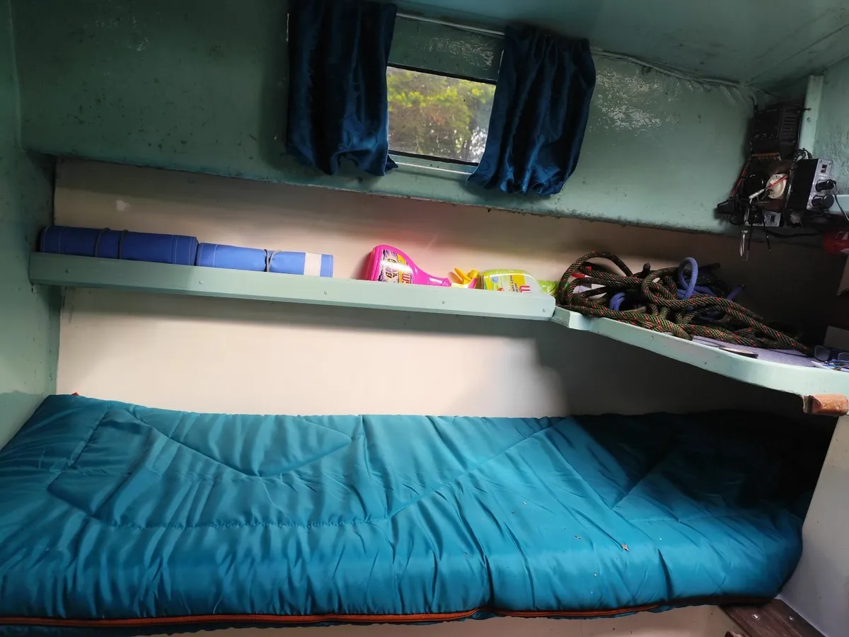 Kingfisher 22 - Image 2