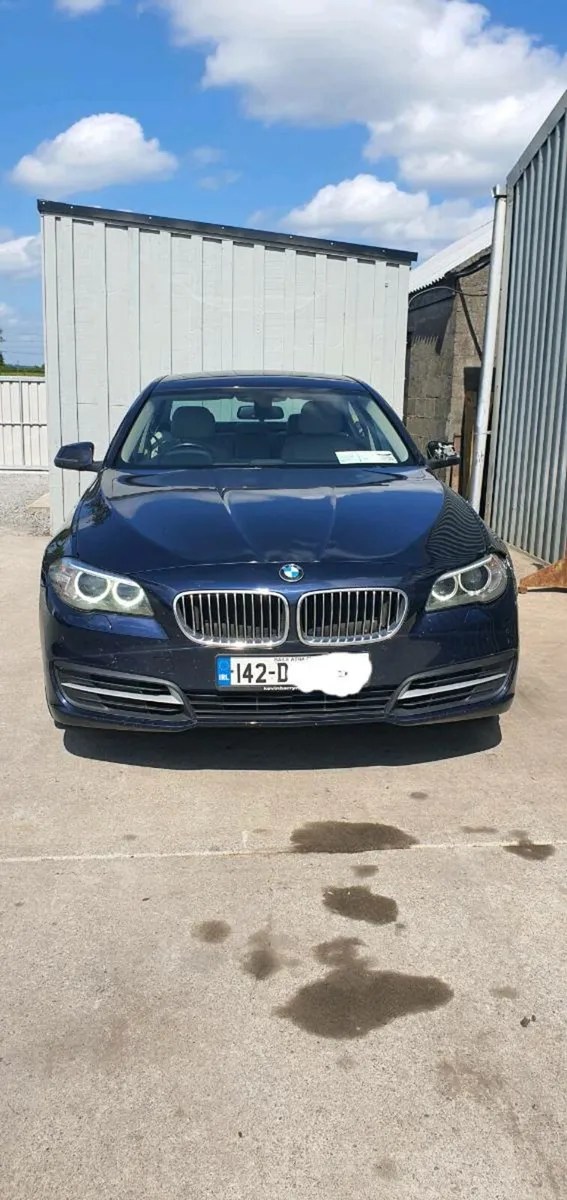 142 BMW 520D AUTO - Image 2