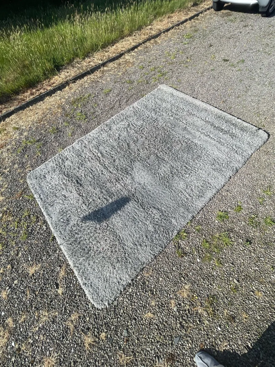 Rug - Image 1