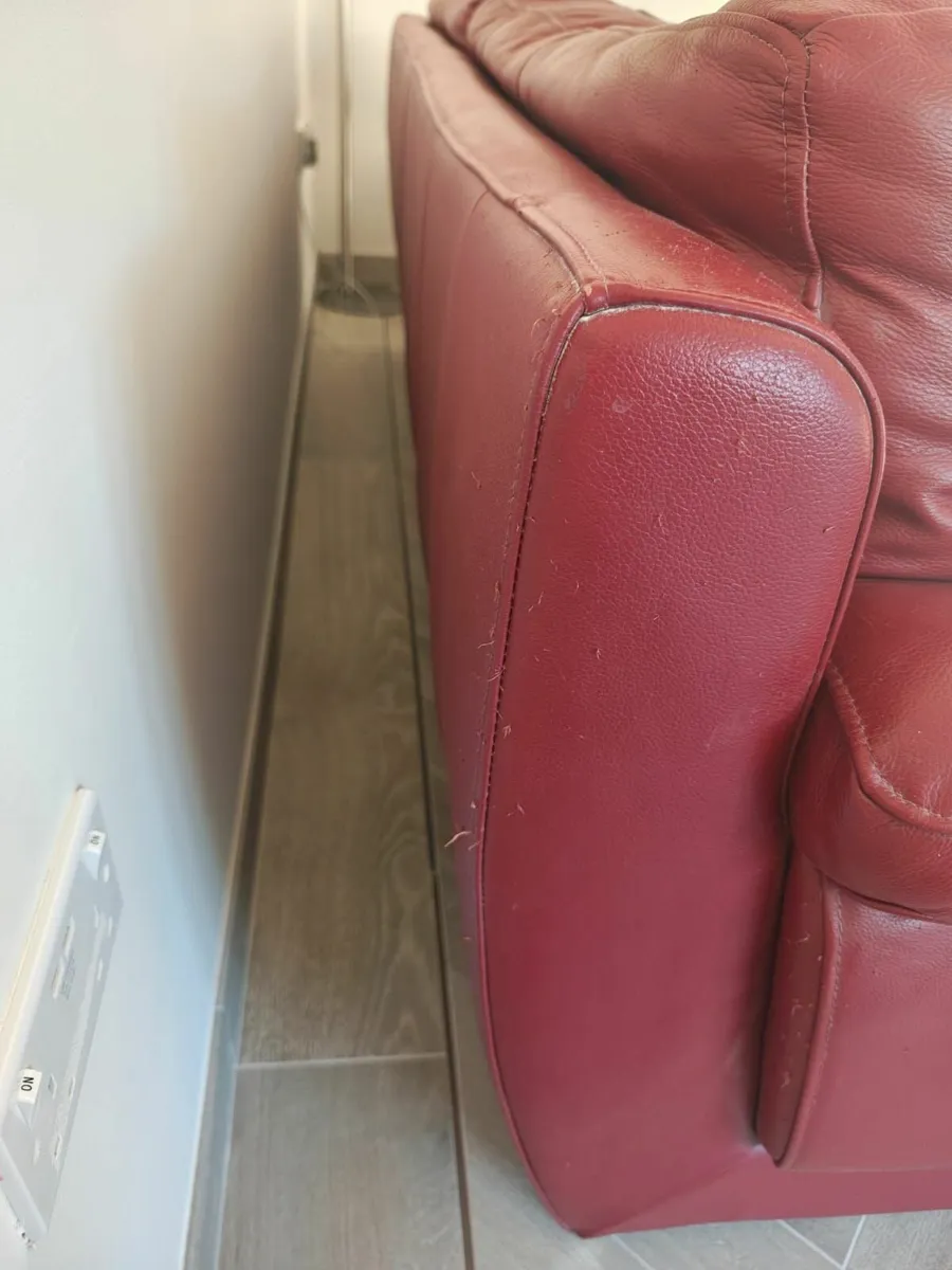Sofa for FREE - Image 3