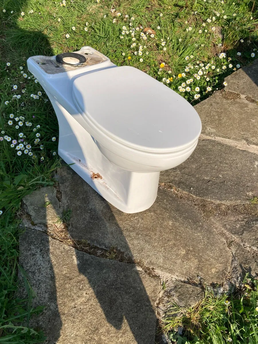 Free toilet and sink - Image 4