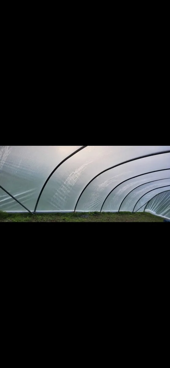40 x 22 foot Polytunnel (COMMERCIAL) - Image 2