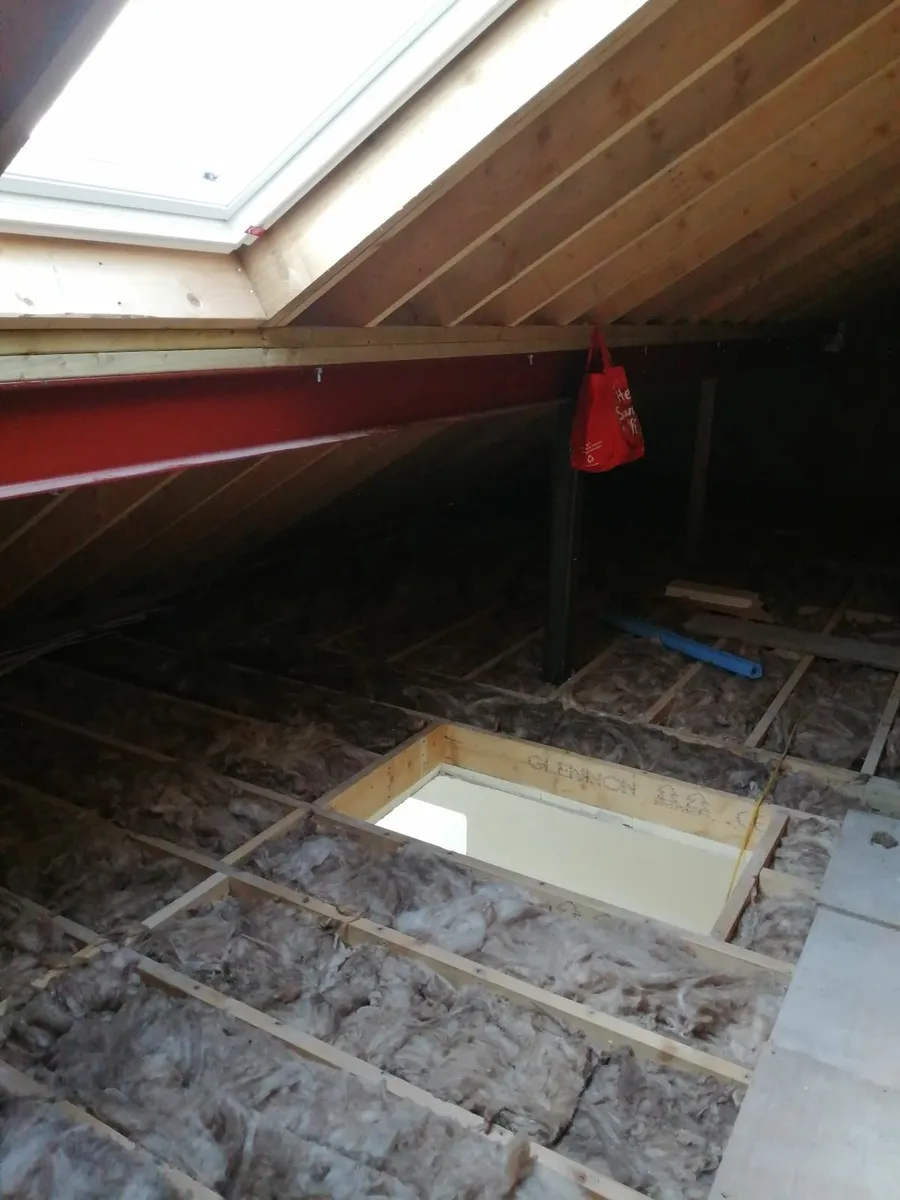 Attic insulation installer available - Image 3
