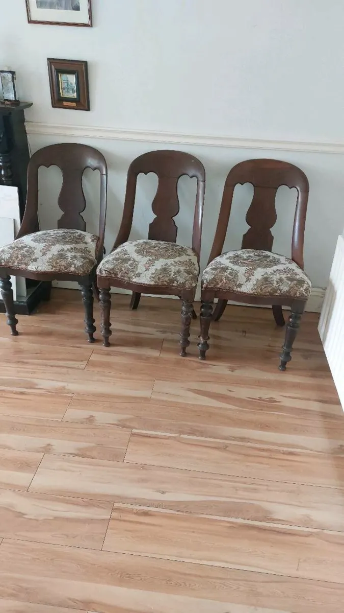 Antique dining chairs