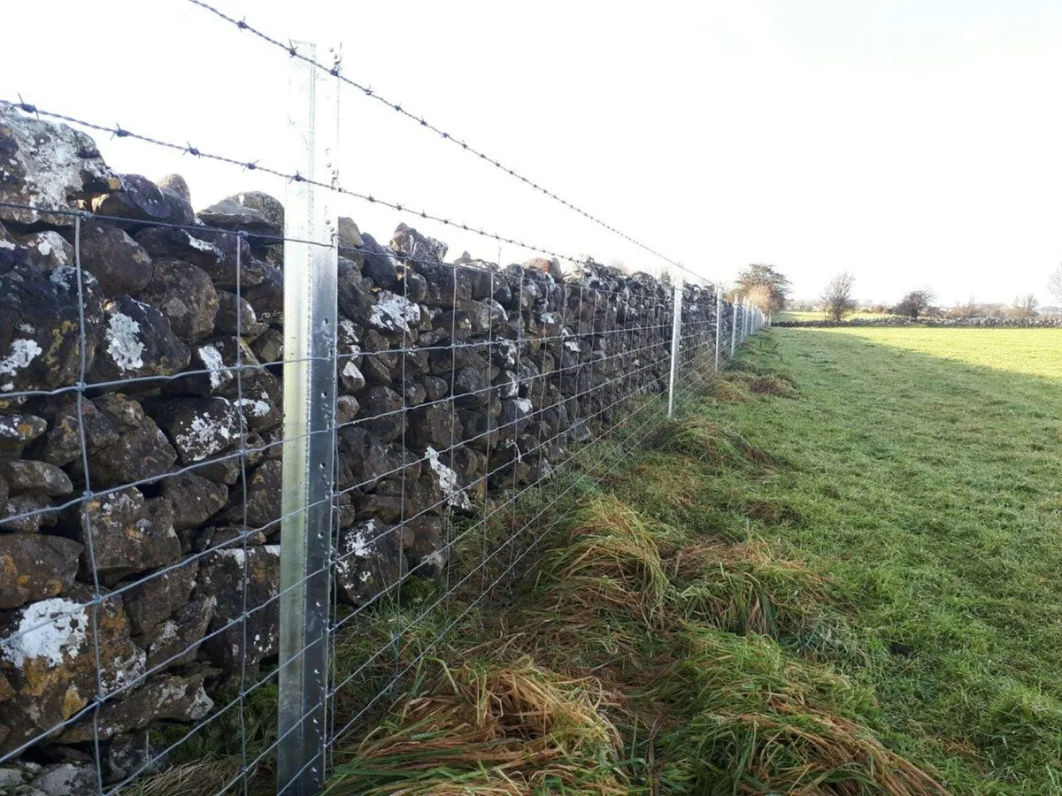 Clipex Fencing Contractor - Image 1