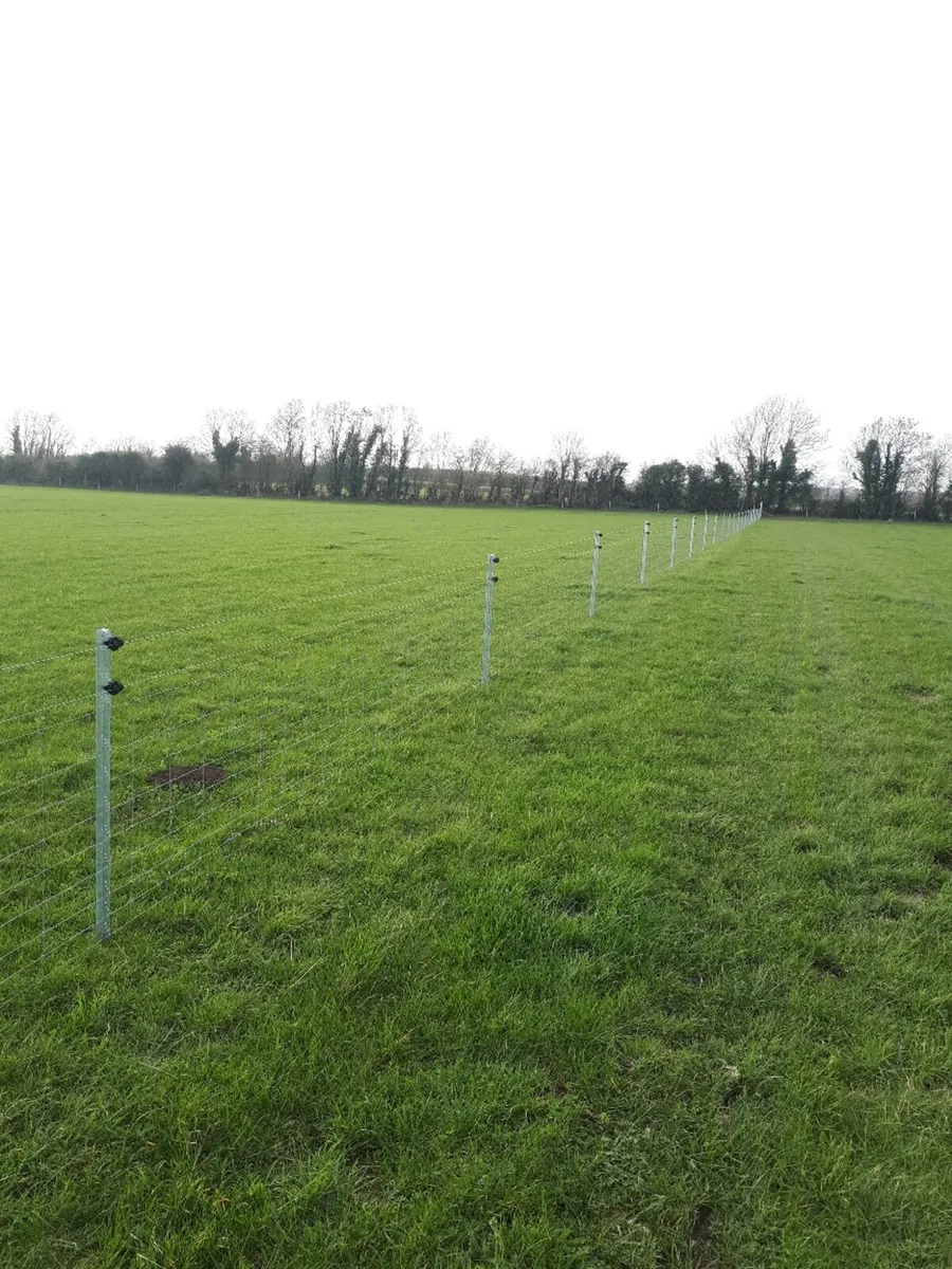 Clipex Fencing Contractor - Image 2