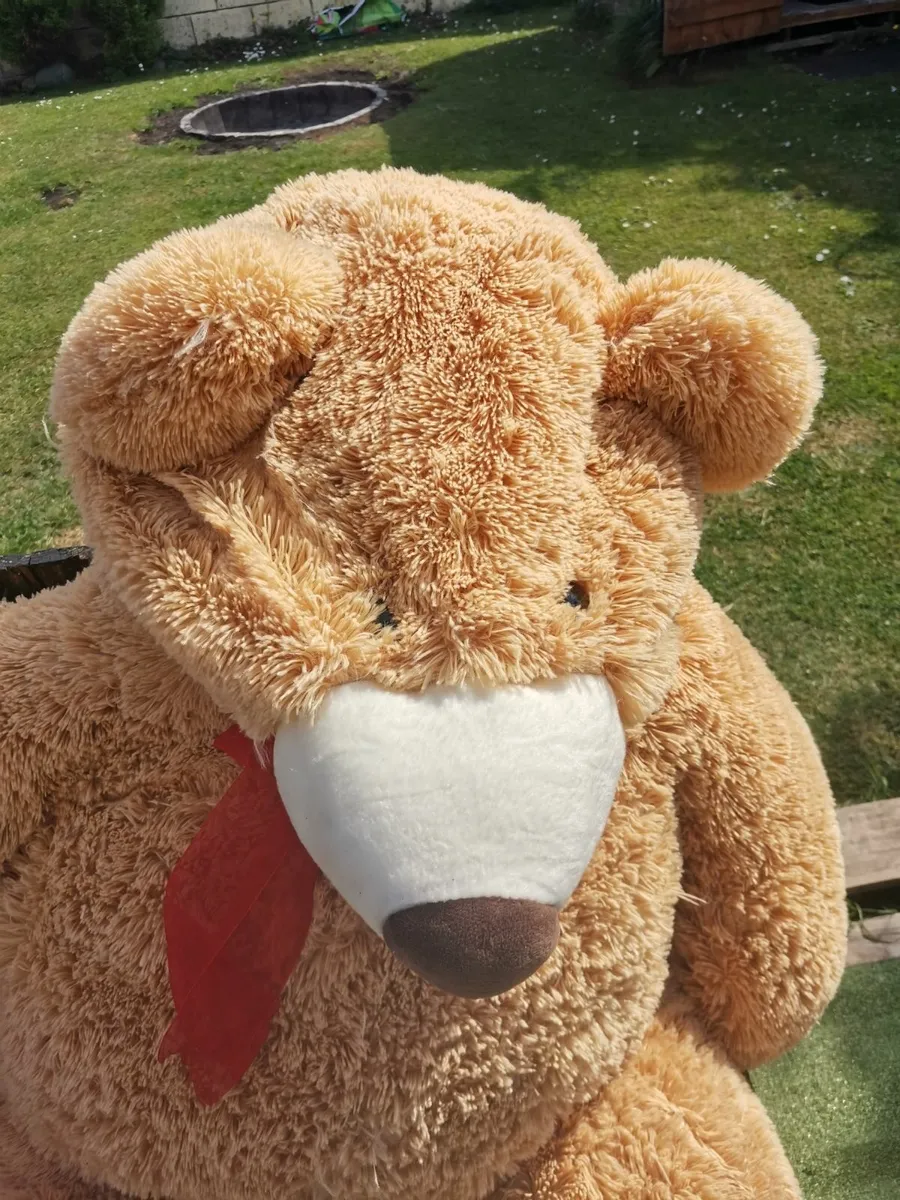 Giant Teddy Bear - Image 3