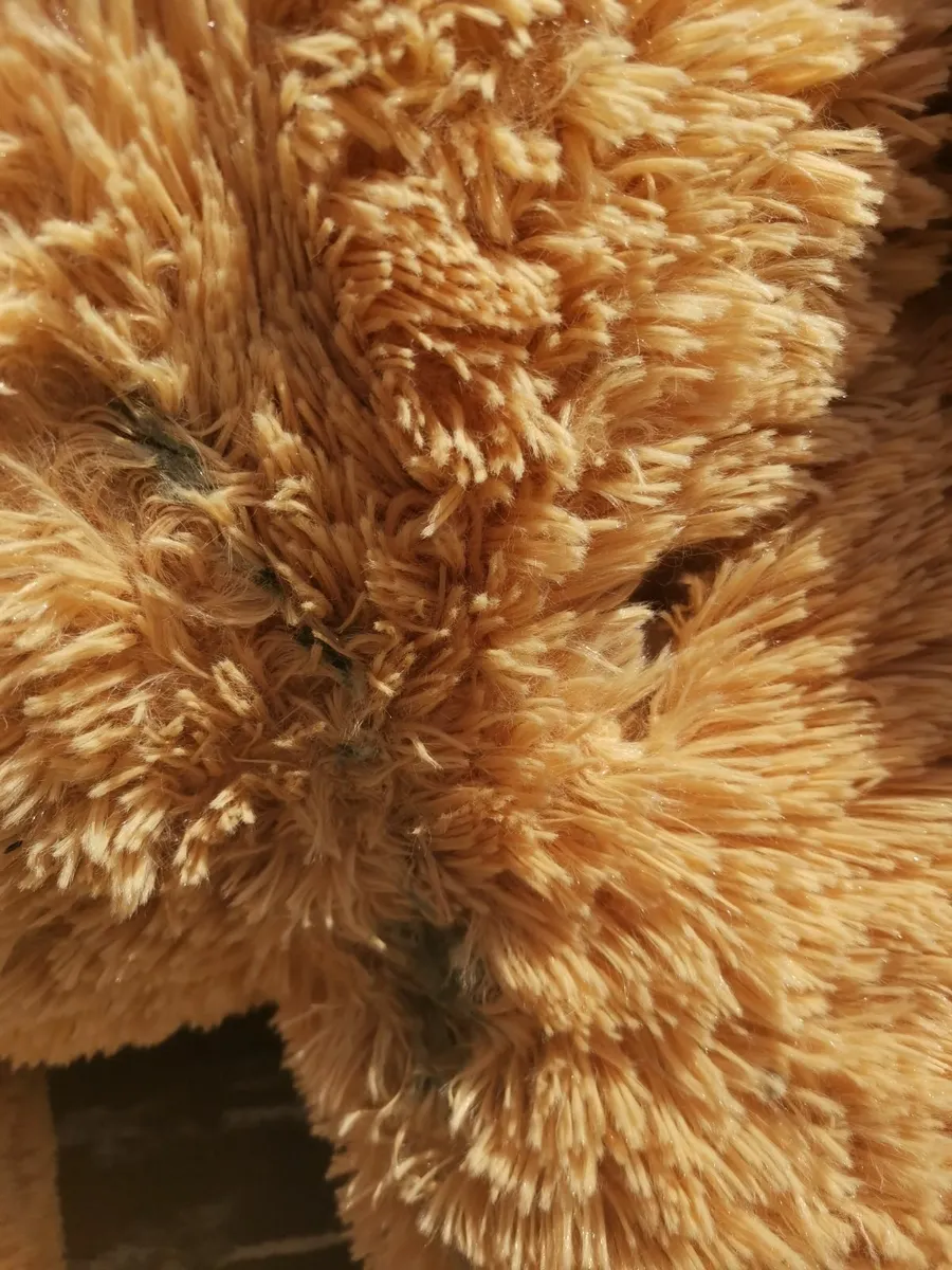 Giant Teddy Bear - Image 4