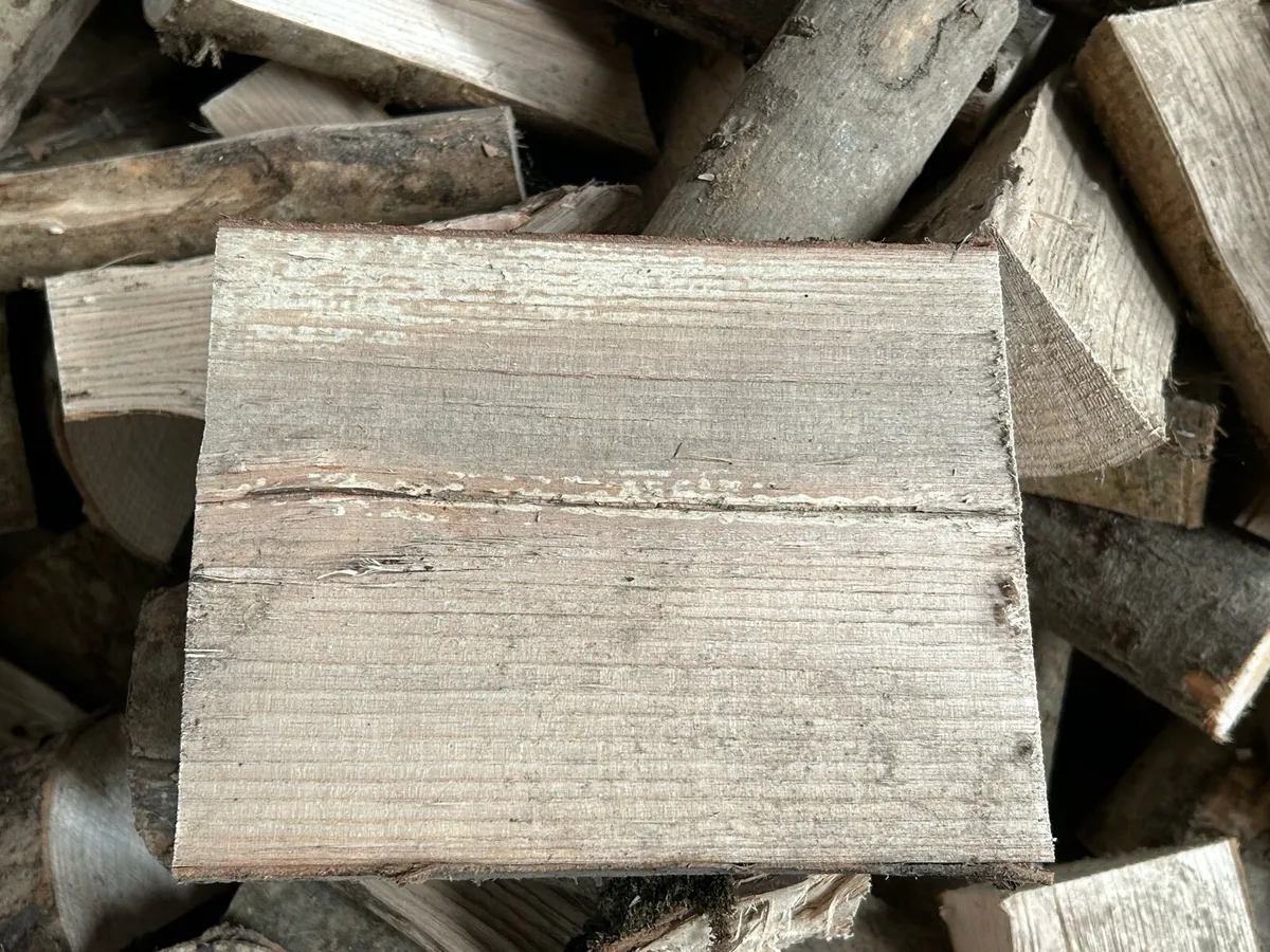 Ash logs and Firewood - Image 3
