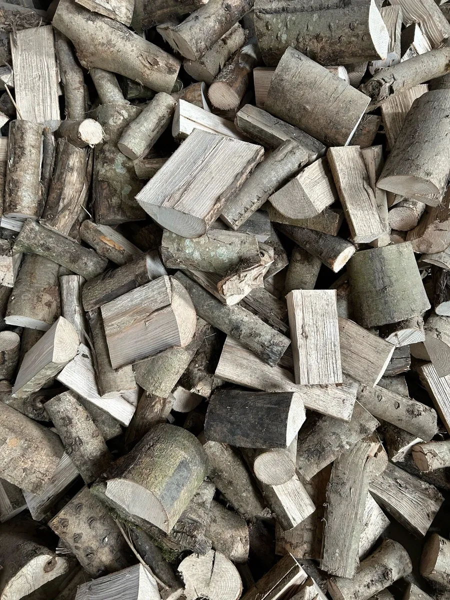 Ash logs and Firewood - Image 4