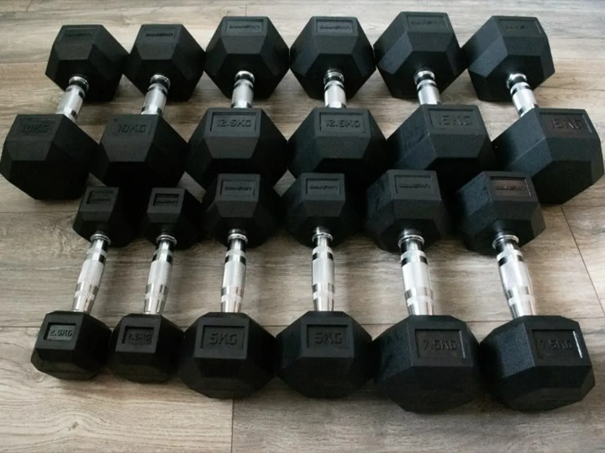 32.5kg hex dumbbells