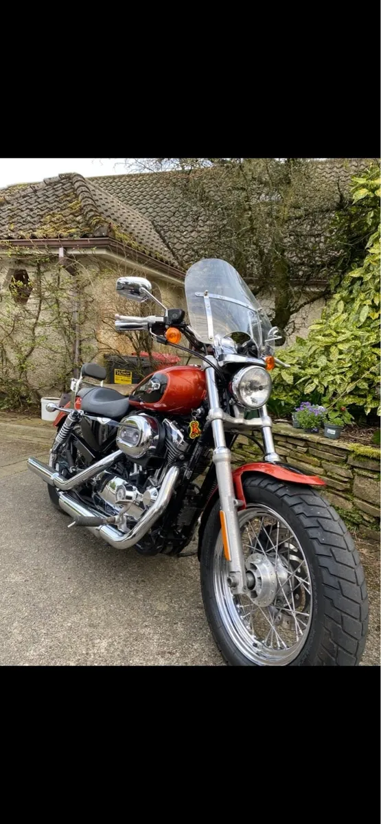 Harley 1200 Sportser - Image 4