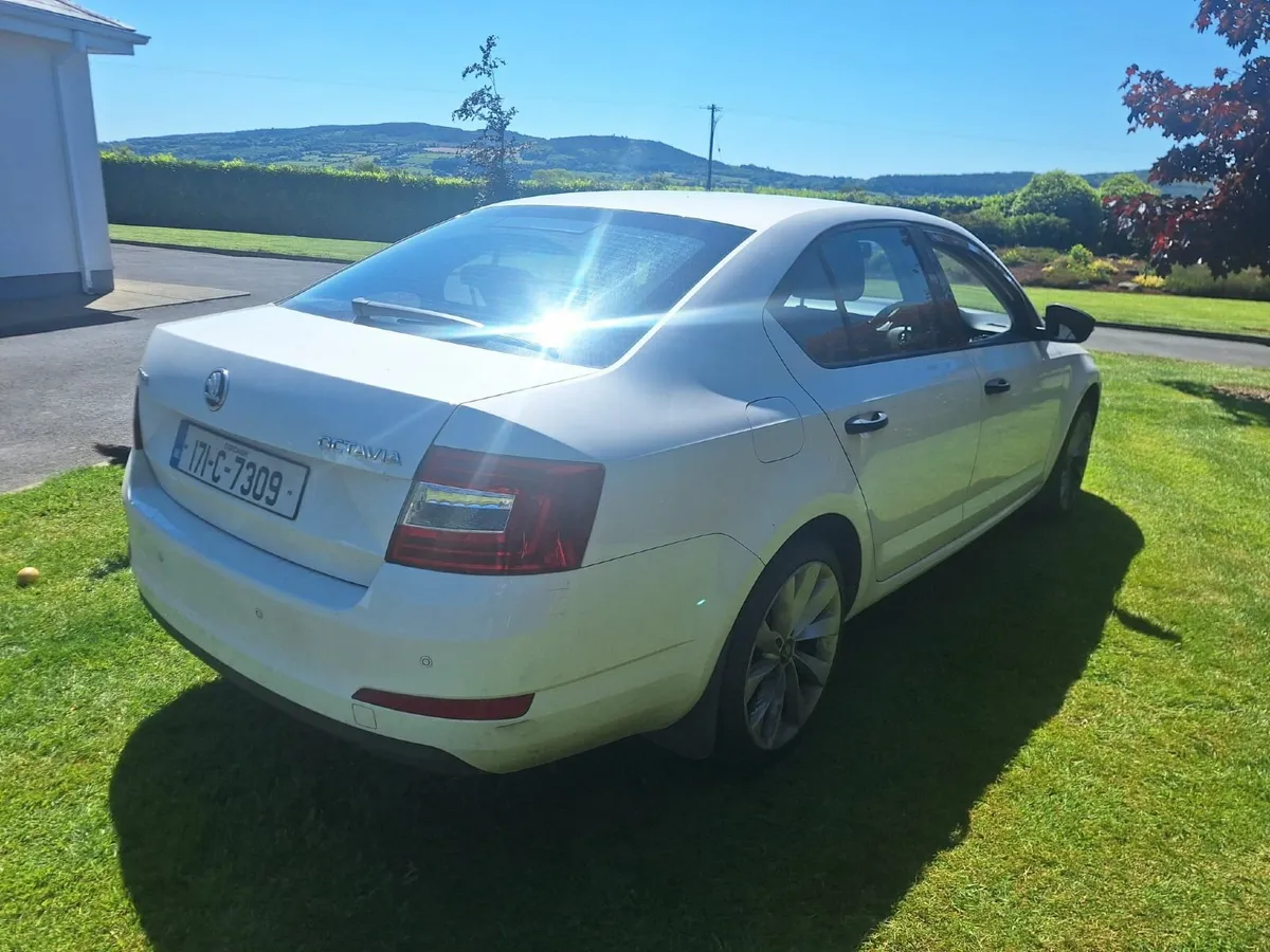 Skoda Octavia Active 1.6TDI 2017 - Image 3