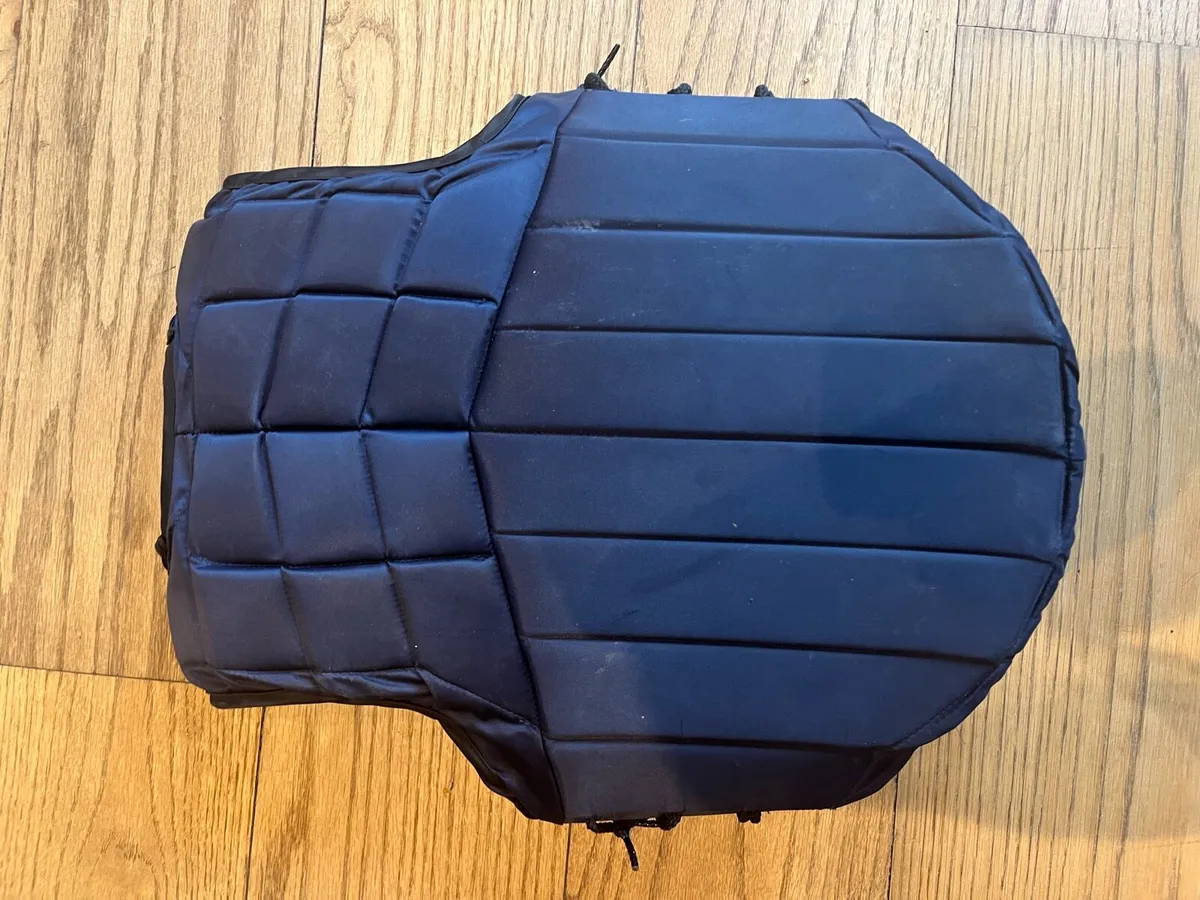 Back Protector - Image 3