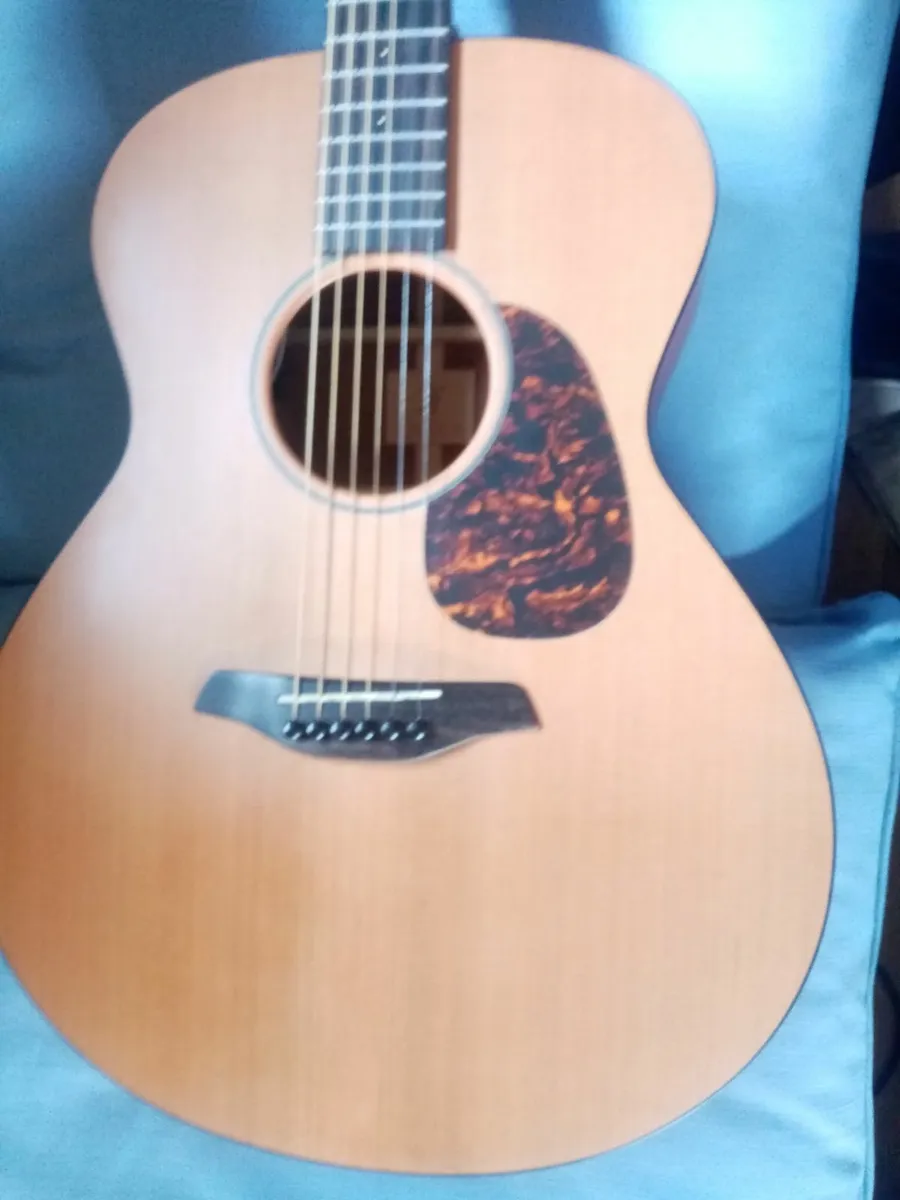 Guitar - Image 4