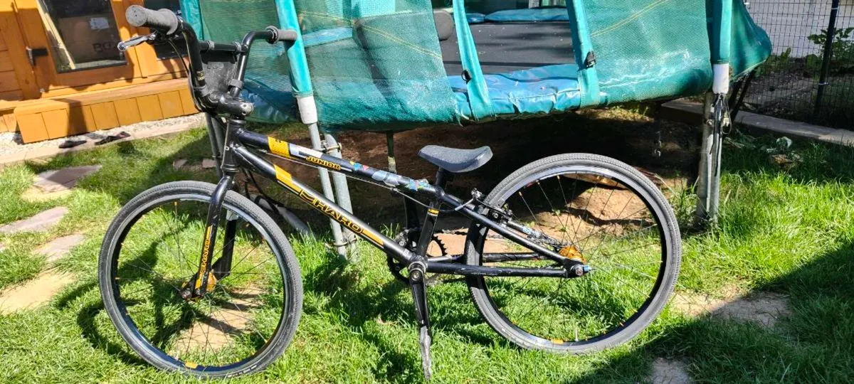 Haro Junior BMX racing bicycle for sale in Dublin - Image 1