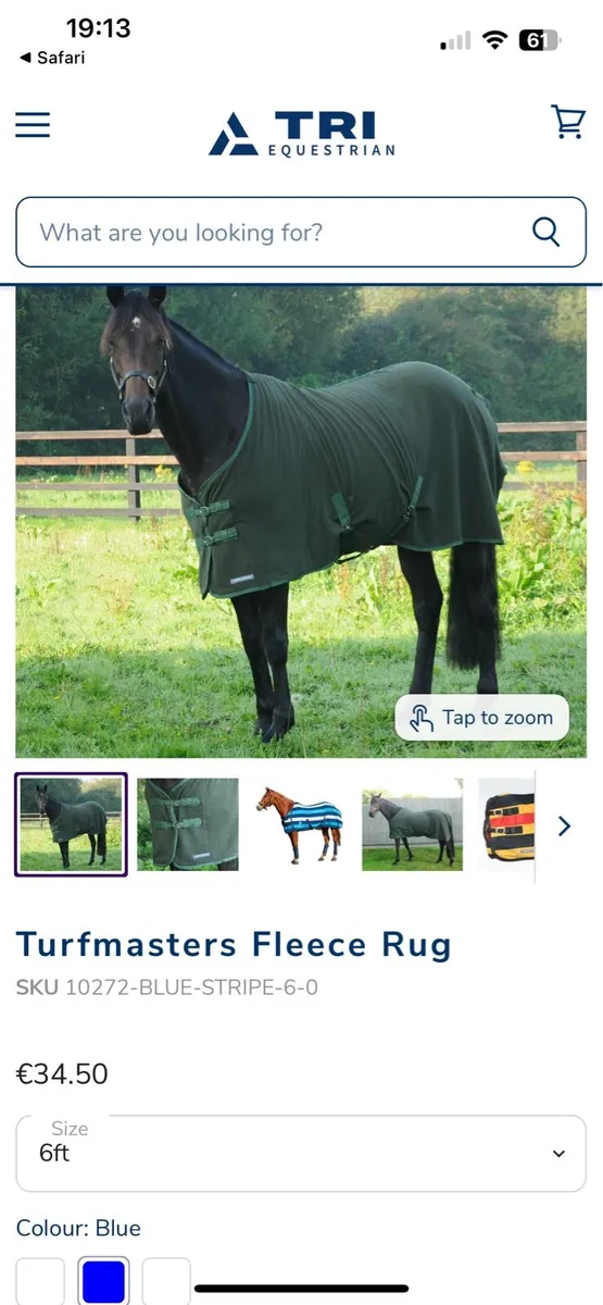 Horse Rug & Halter - Image 2