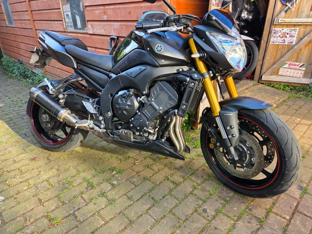 Yamaha FZ8,  Triumph 675 - Image 2