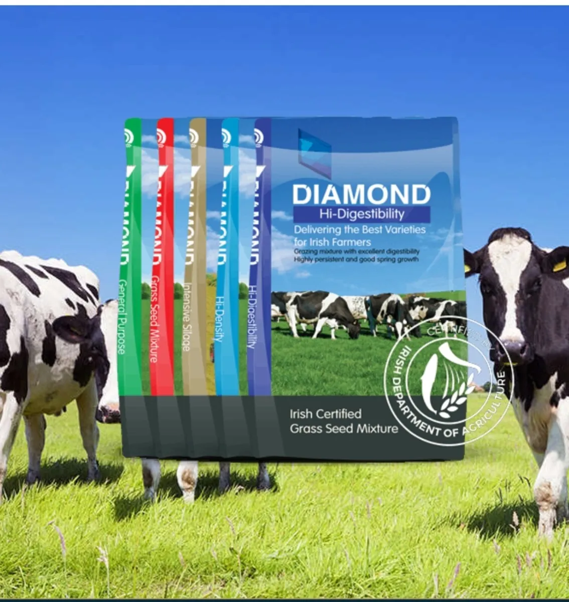 Grass Seeds for all types - Image 2