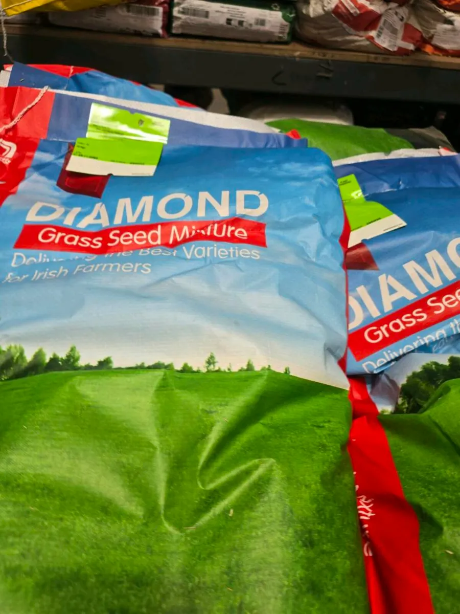 Grass Seeds for all types - Image 3