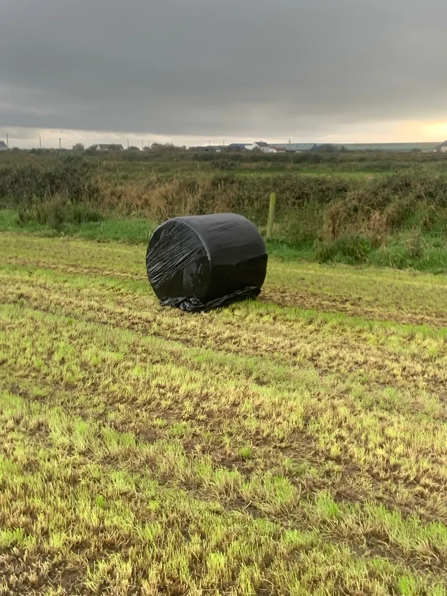 Silage Bale wrap - Image 2