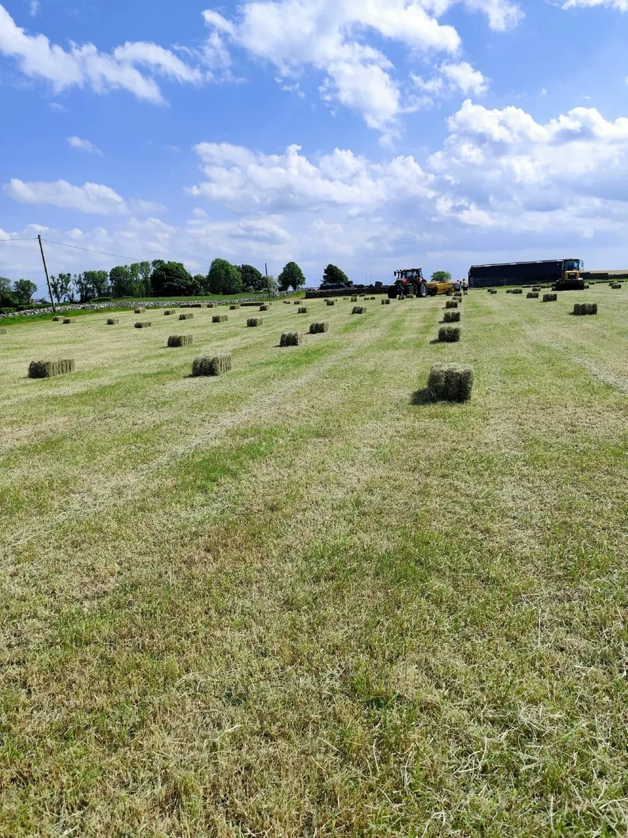 Baling Hay this weekend. €4 of field only - Image 3
