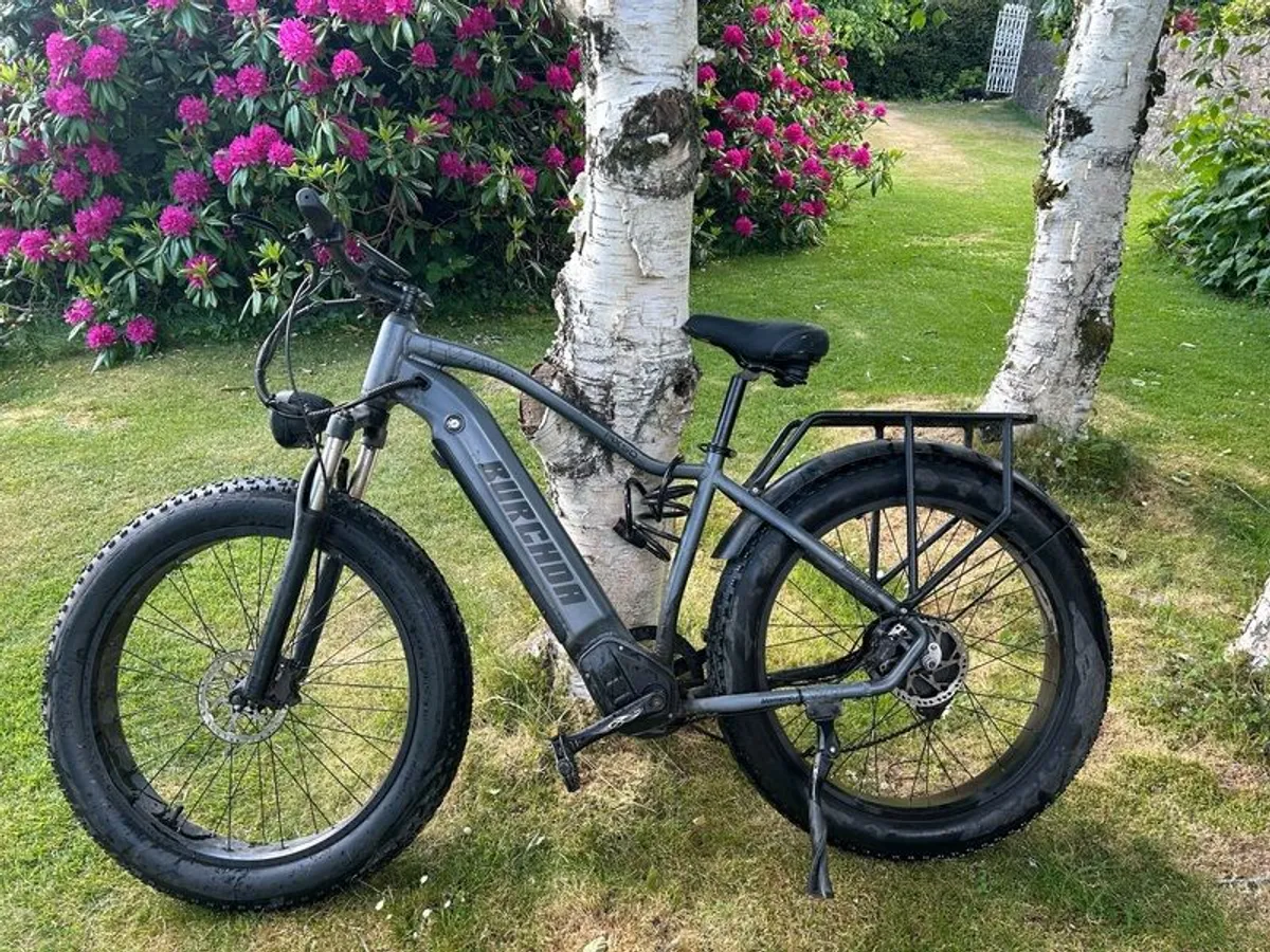 Burchda 1000w all terrain bike - Image 1