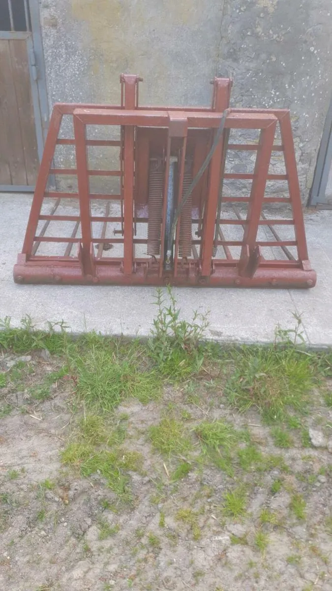 Buckrake - Image 2