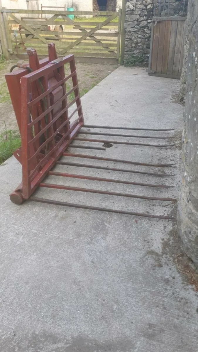 Buckrake - Image 3