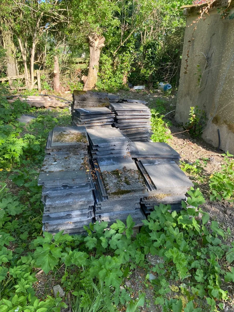 Roof tiles 60cent each ono. - Image 1