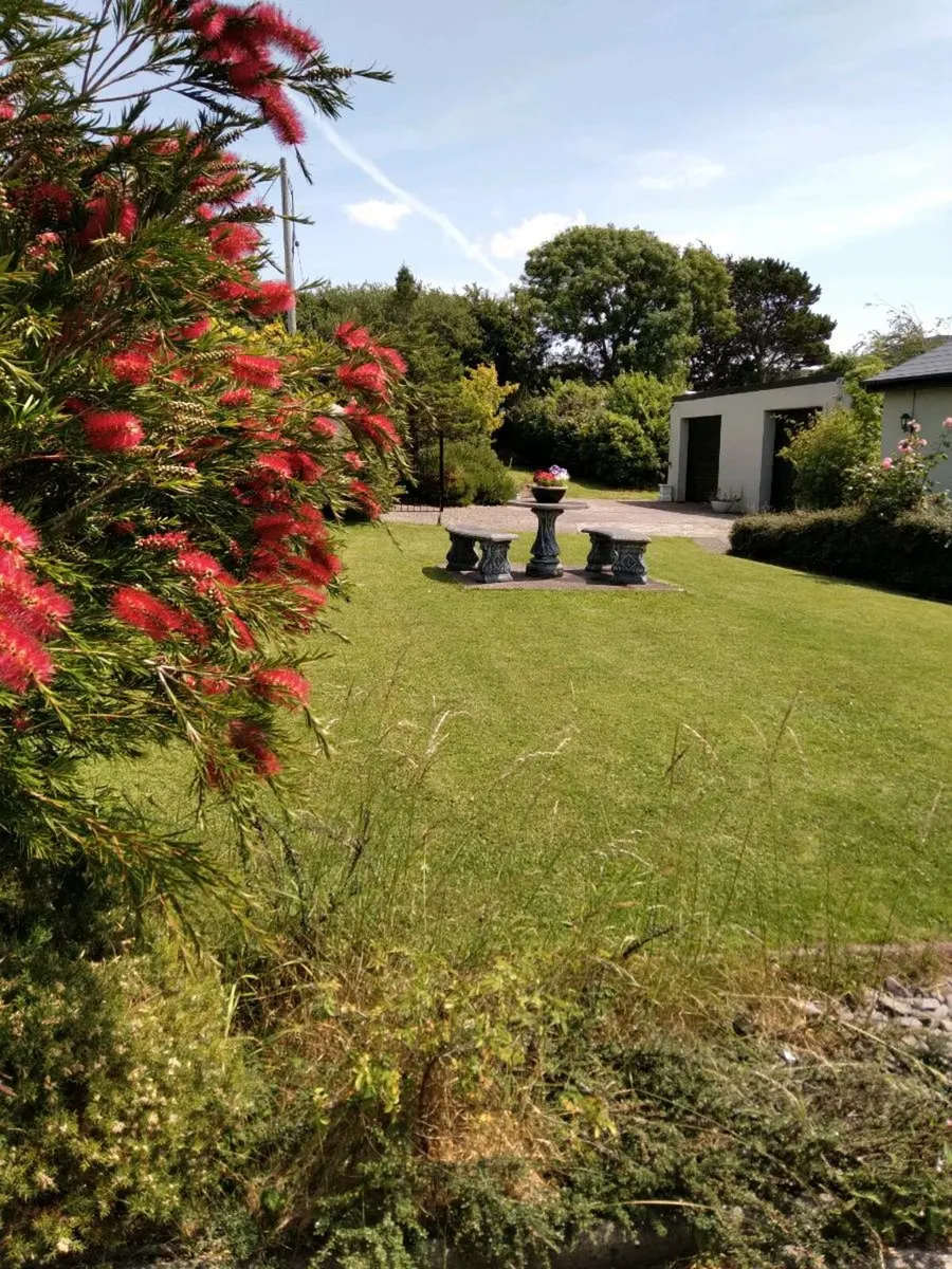 Glenbeigh  holiday home rental - Image 3