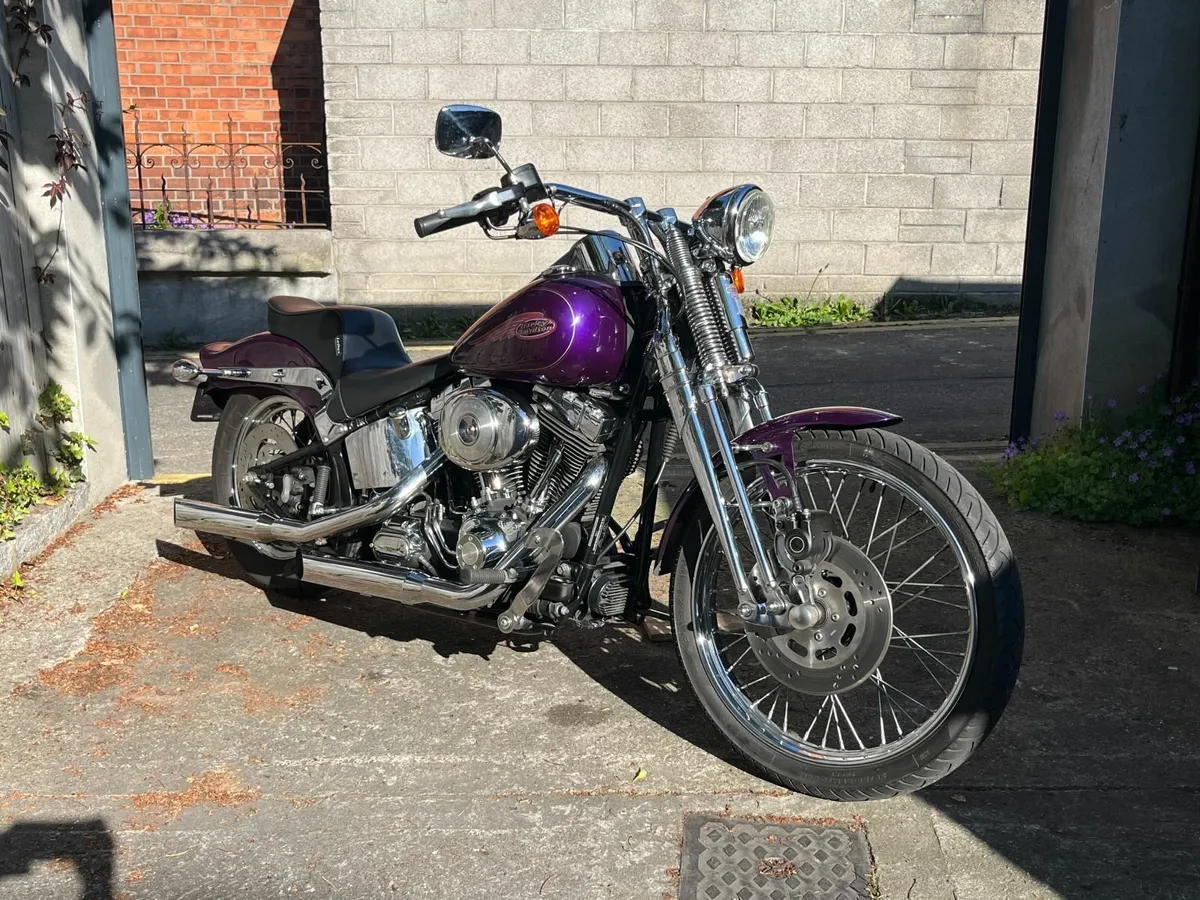 HARLEY DAVIDSON  Springer - Image 2