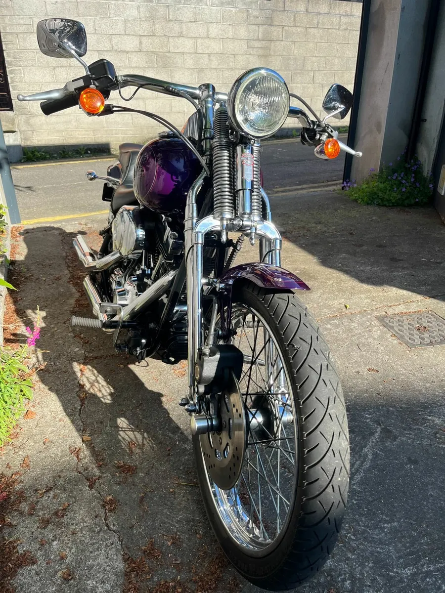 HARLEY DAVIDSON  Springer - Image 3