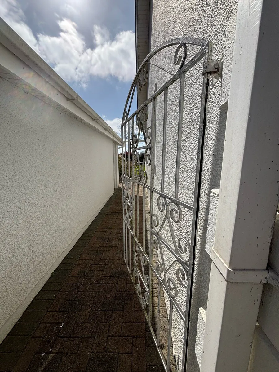 Iron Gate - Garden Gate - Image 4