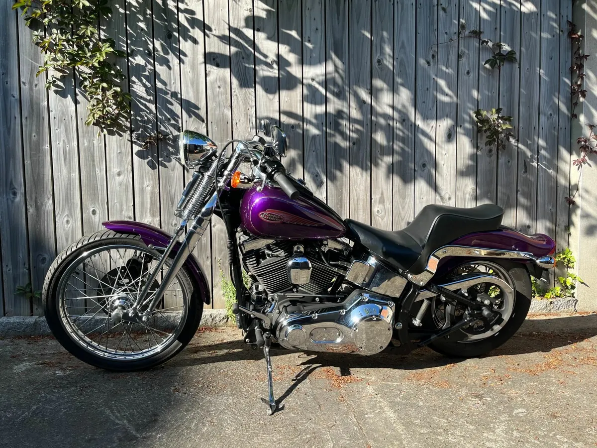 HARLEY DAVIDSON  Springer - Image 4