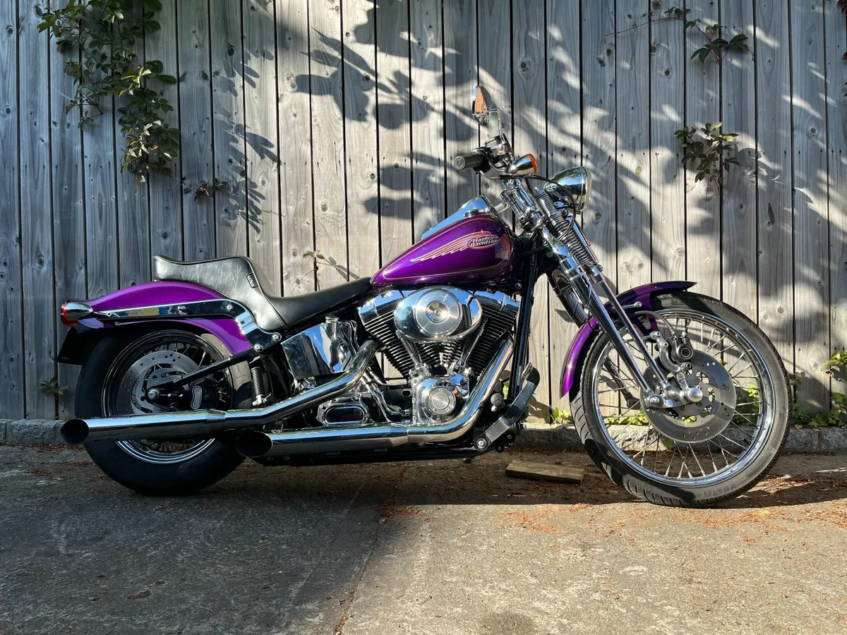 HARLEY DAVIDSON  Springer - Image 1