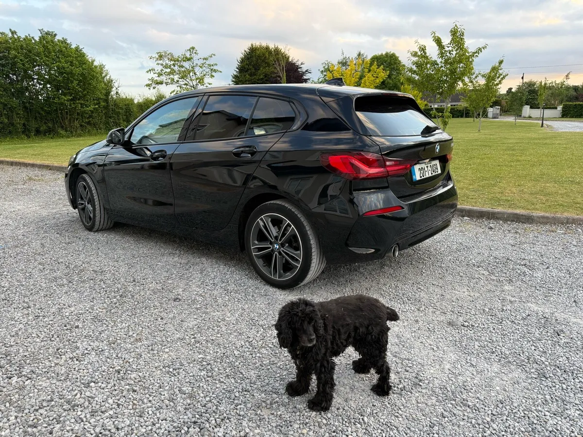 BMW 1 Series 116D Sport 2020 New Shape - Image 1