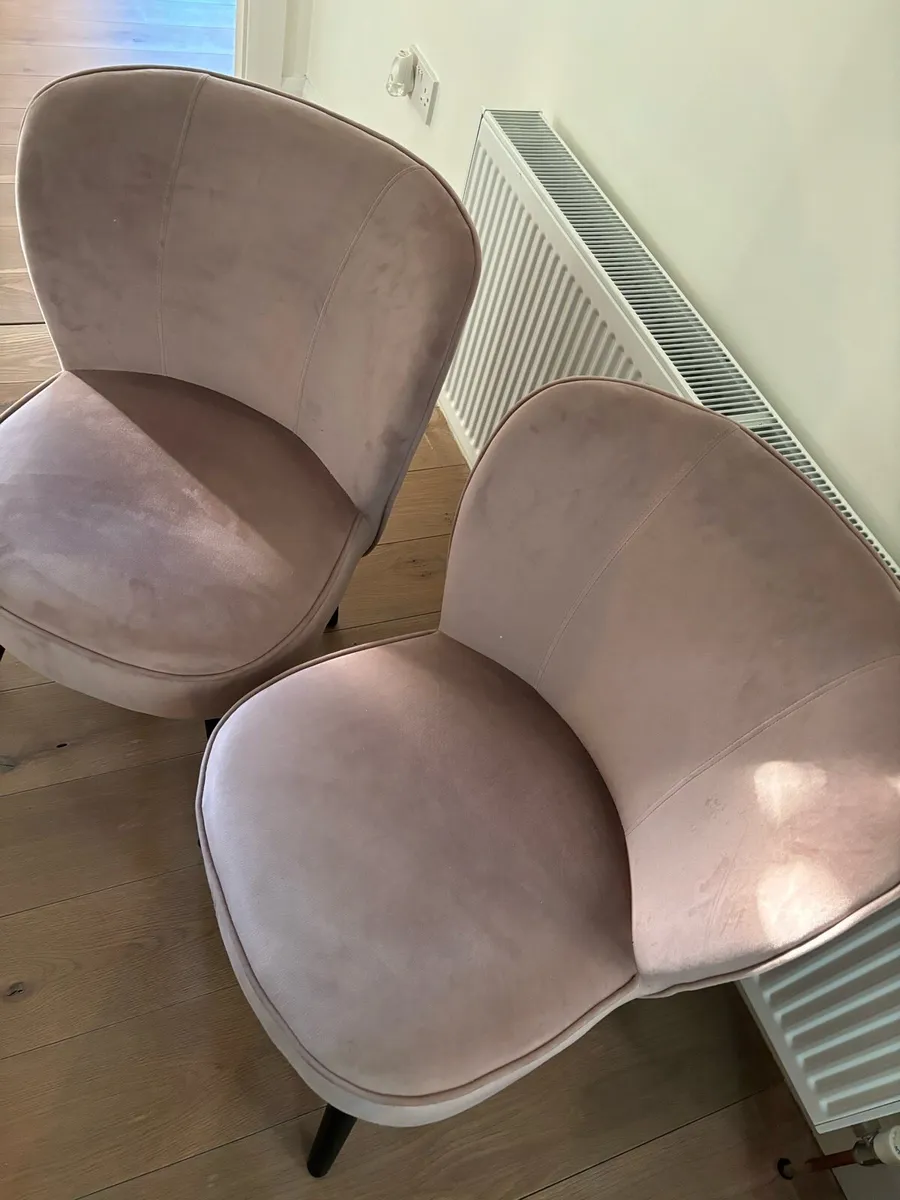 2 pink velvet chairs - Image 1