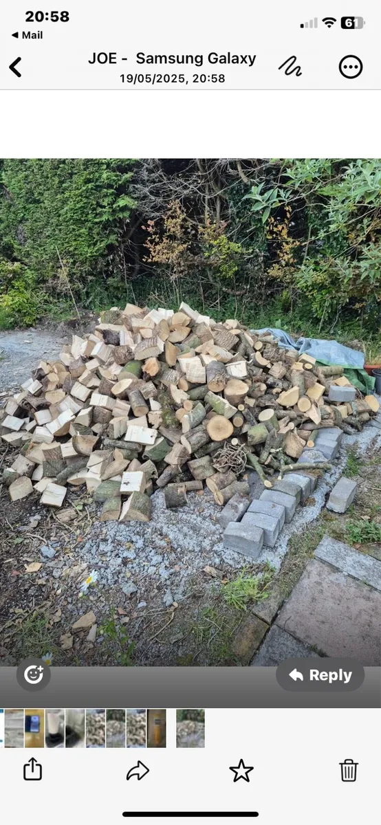 Ash Timber