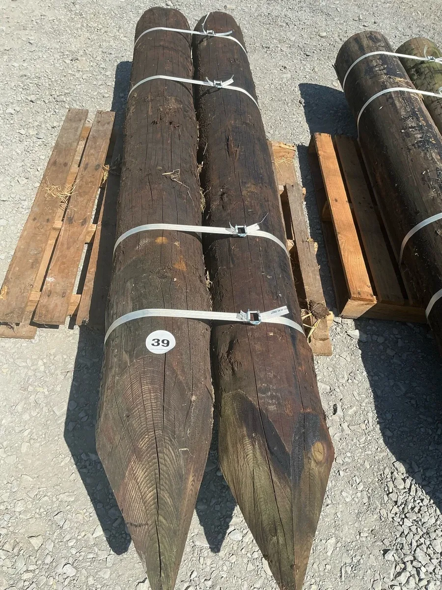 Large selection of Fencing equipment for Auction - Image 1