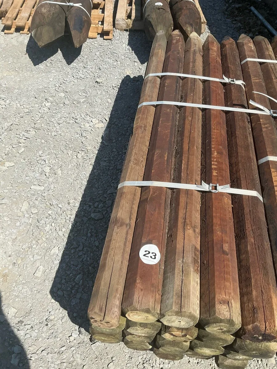 Large selection of Fencing equipment for Auction - Image 2