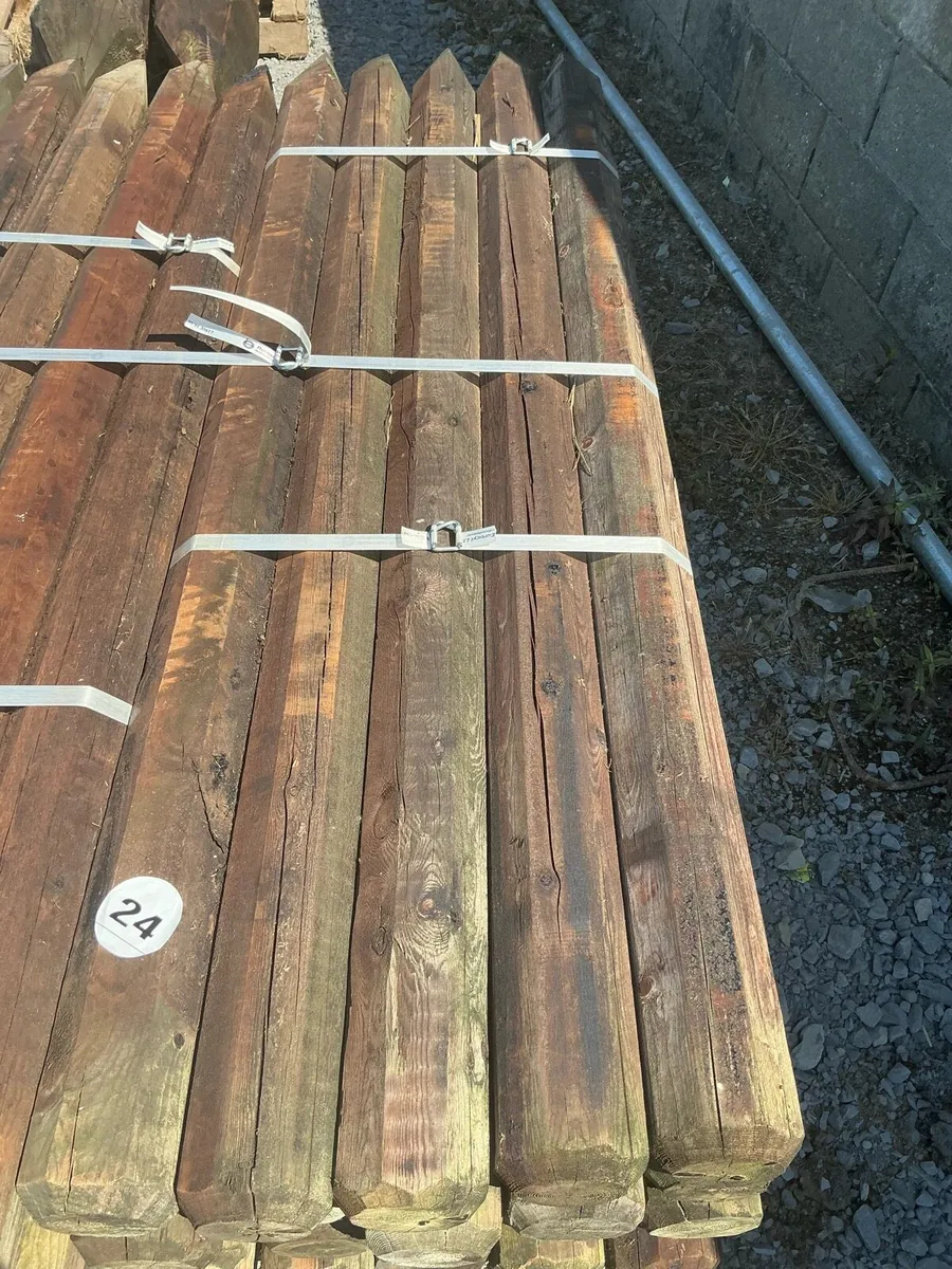 Large selection of Fencing equipment for Auction - Image 3