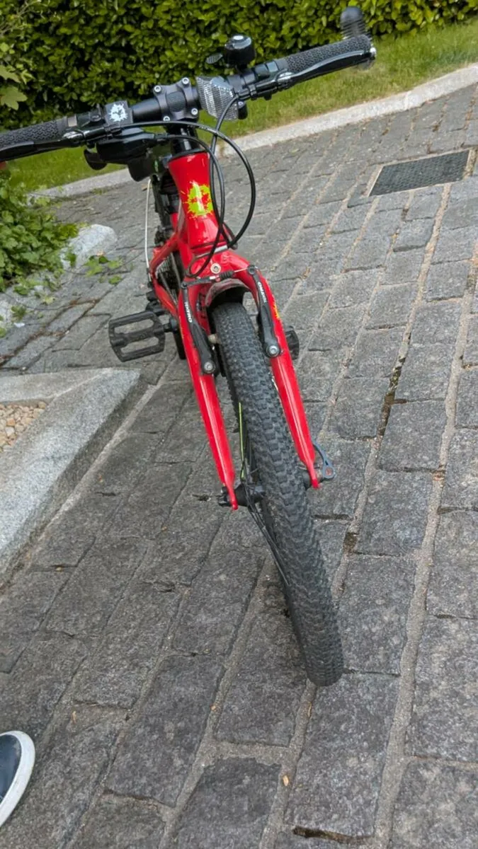 Frog Kids Bike 20inch - Image 3