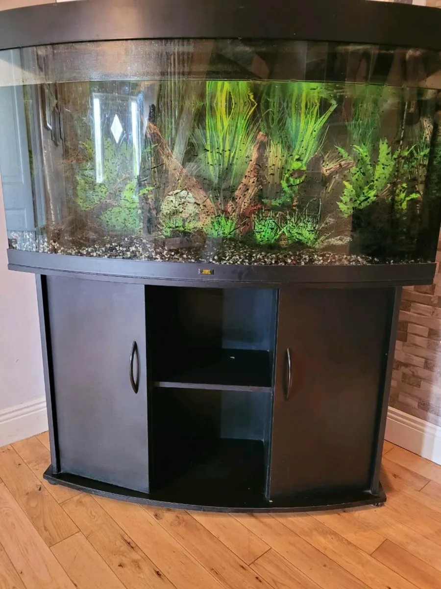 Juwel vision 260 fish tank/caninet/lights/air pump - Image 1